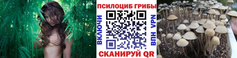 где можно купить наркотик  shop как зайти  Псилоцибиновые грибы MAGIC MUSHROOMS  Туринск  omg сайт 